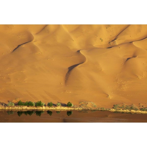 China, Badain Jaran Dune and trees by a lake